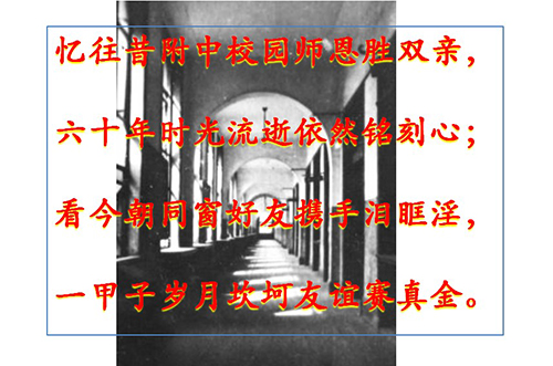 12.jpg 12.jpg