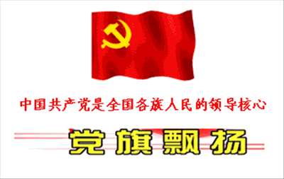 201907011002006978.gif