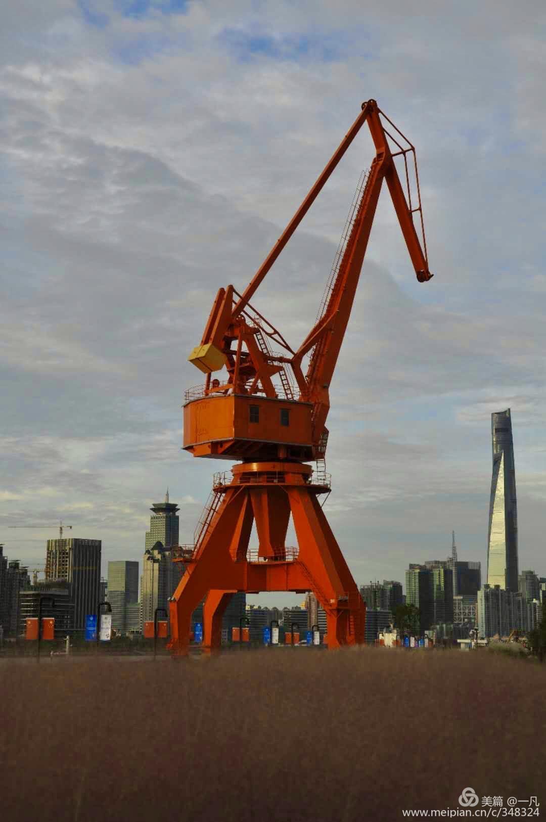 41.jpg