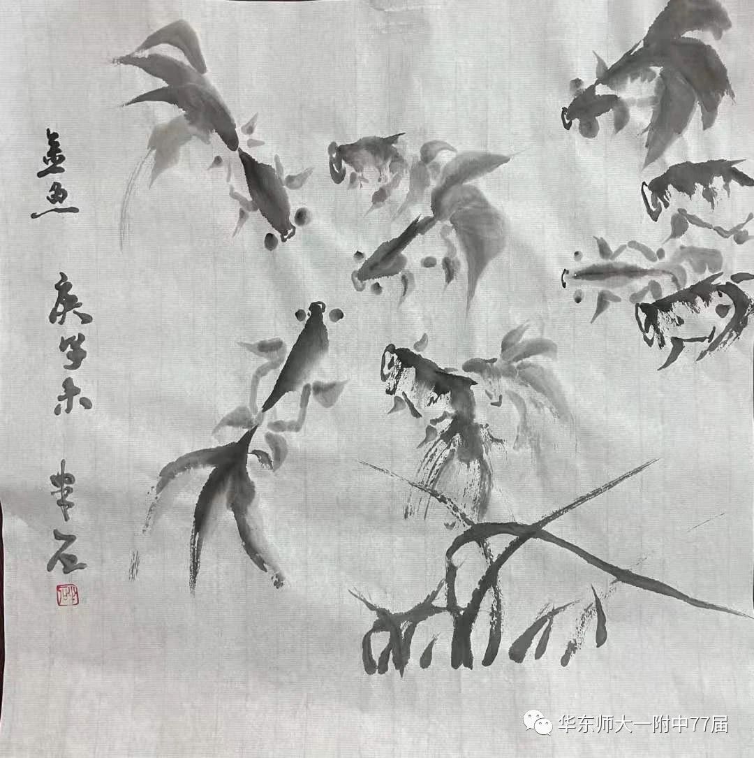 金鱼.jpg