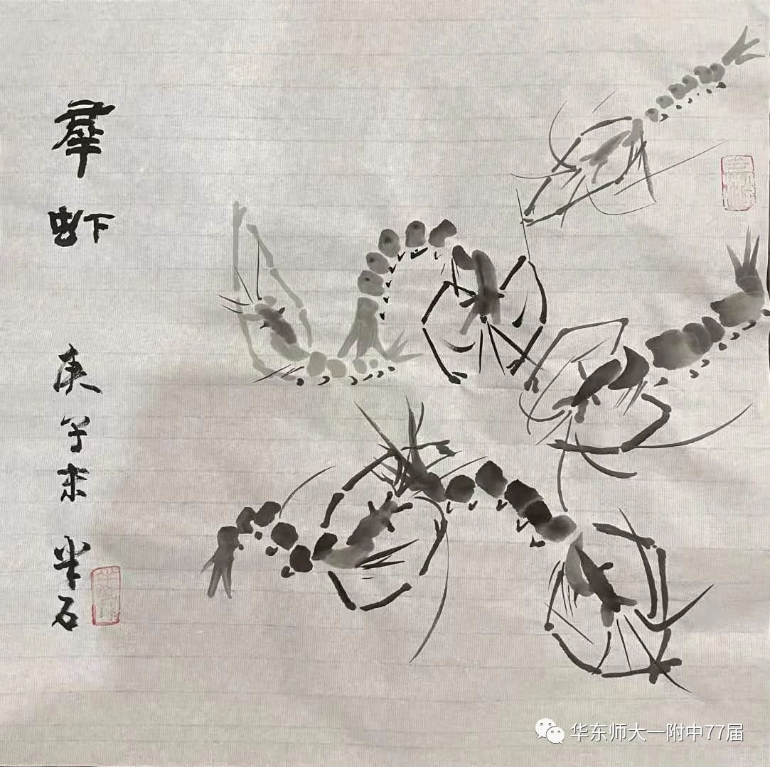 群虾.jpg