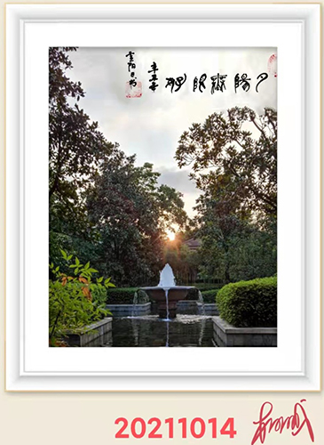 夕阳无限�?.jpg