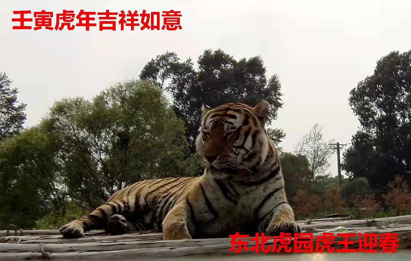 李小�?.jpg