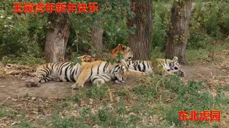李小�?.jpg