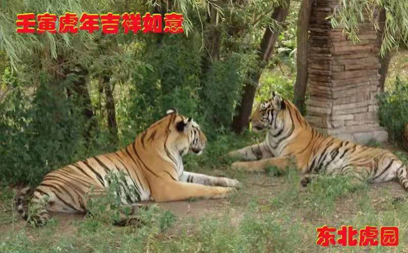 李小�?.jpg