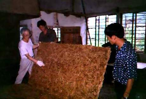 图8：在云南贫困山区做创新性竹大片刨花板的生产试验(1994).JPG