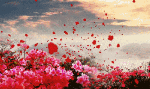 c075ddaeb2d16e9aae0195a213d3d78ade115cdf1194a9-lN1kYe_fw658.gif